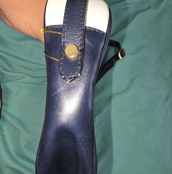 Salvatore Ferragamo Blue and White Shoulder Bag with Luxurious Design - Picture 10 of 10